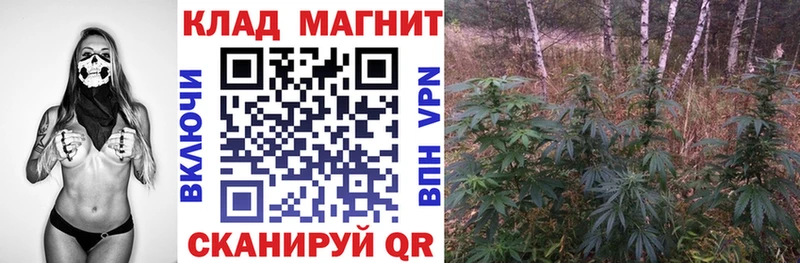 Купить ТГК  Канабис  Галлюциногенные грибы  ГАШ  Меф  Cocaine  Белорецк