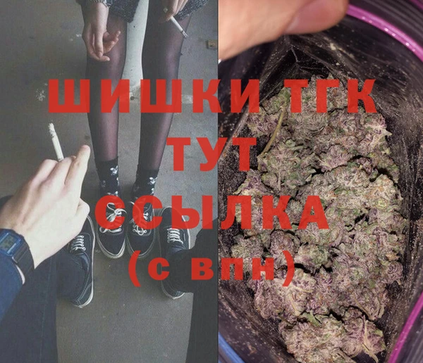 дурь Инсар