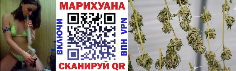 Купить где  Белорецк  Конопля ГИДРОПОН 